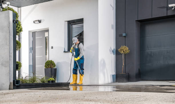Best Graffiti Removal Services in Brownsboro, TX